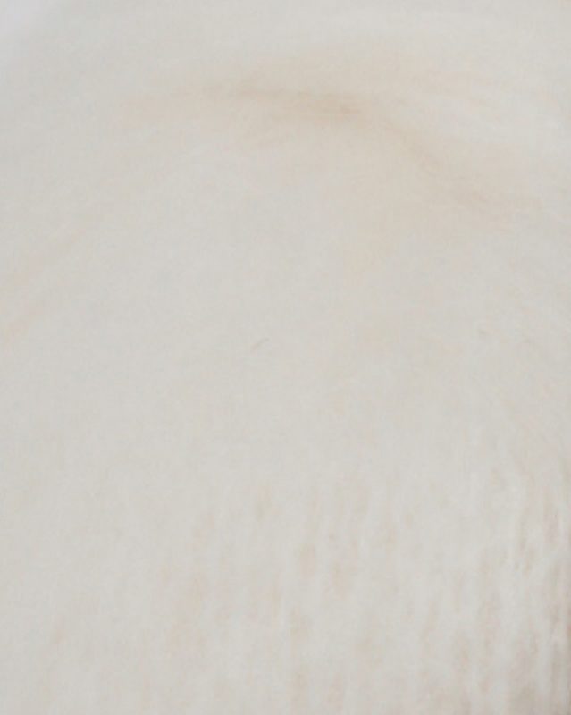 Altex